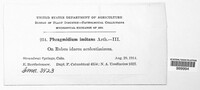 Image Associated With the Occurence